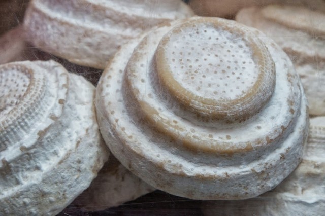 Montebore come scegliere i formaggi in cucina