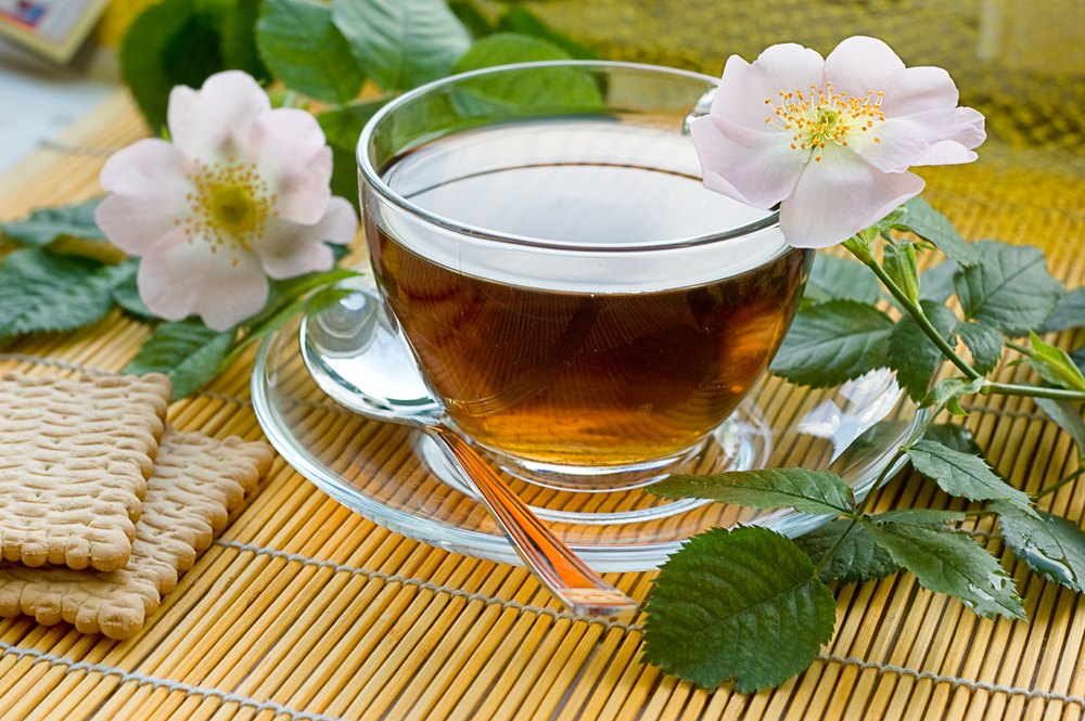 Tisana alla rosa canina
