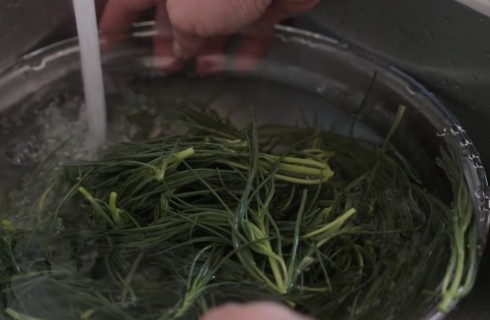 Agretti_sotto_acqua_corrente