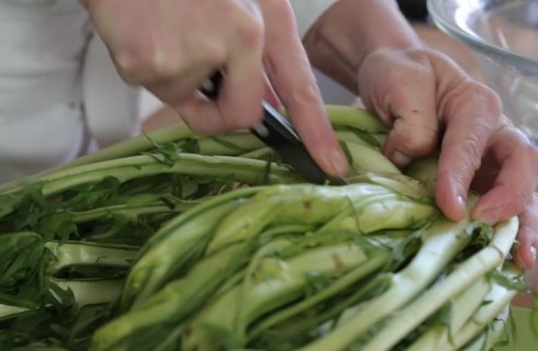la_pulizia_delle_puntarelle
