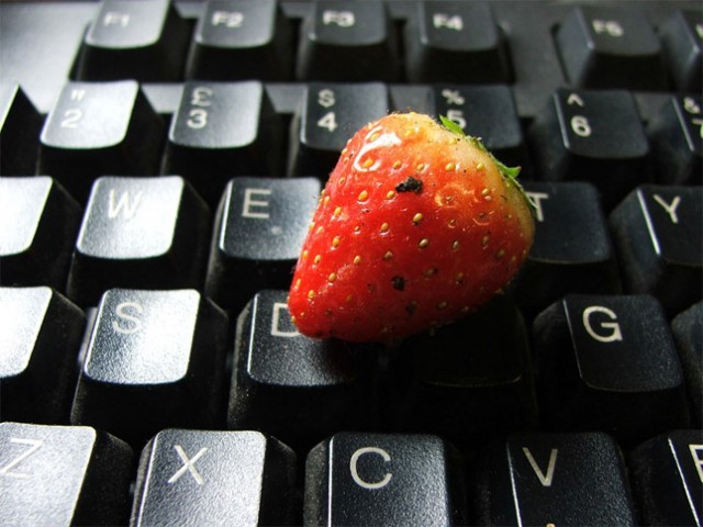food blogging