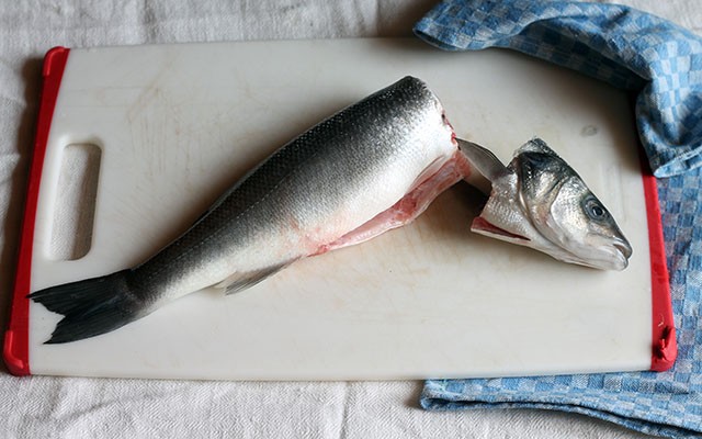cannelloni di pesce step1