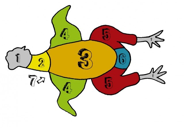 pollo a colori