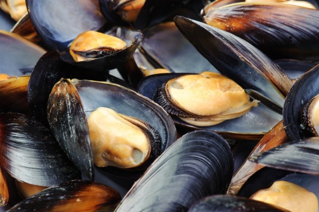 Cozze
