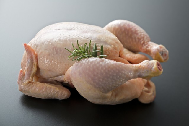 pollo