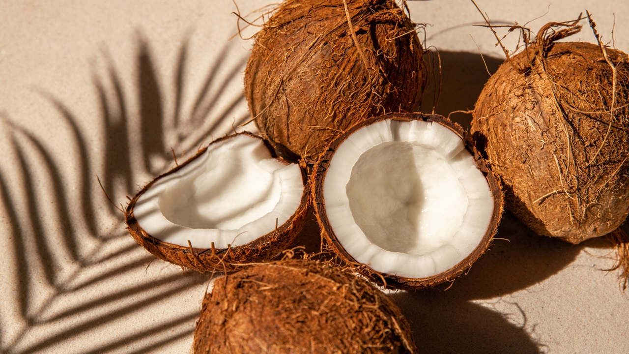 cocco