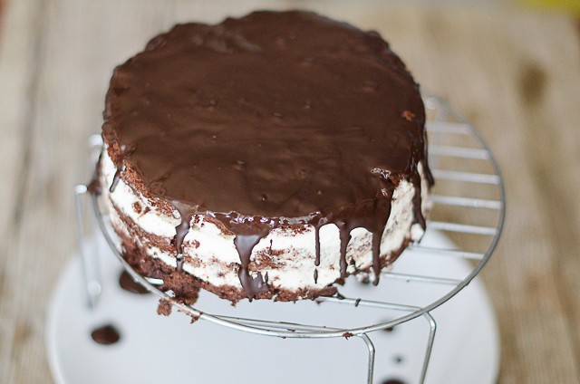 Torta pingui 5