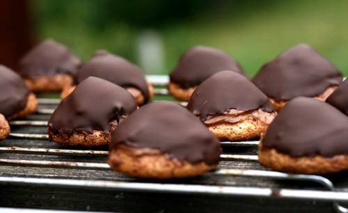 chokladbiskvier