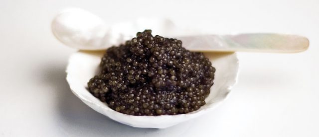 sevruga-caviar