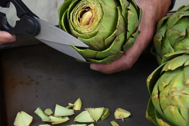 forbici e carciofi