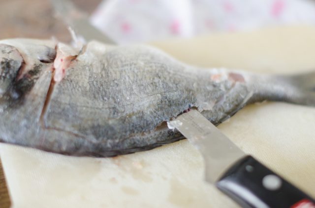 mezze-maniche-branzino-e-aromatiche-1