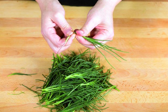 spaghetti-agretti-e-alghe-a1782-2