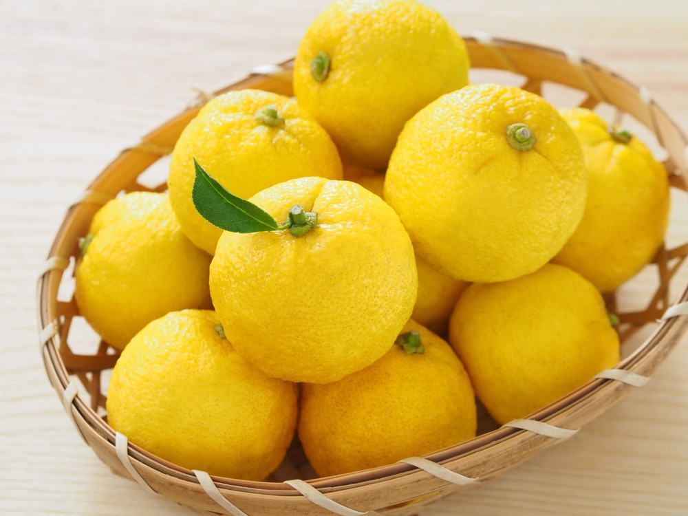 yuzu