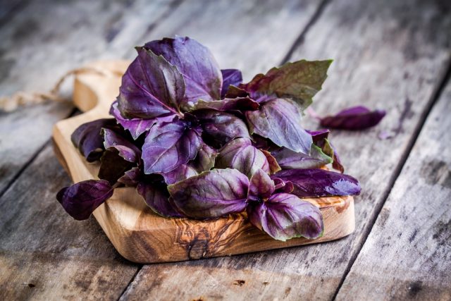 shutterstock_281216345