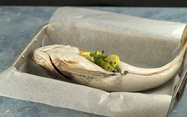 gallinella-di-mare-al-forno-2