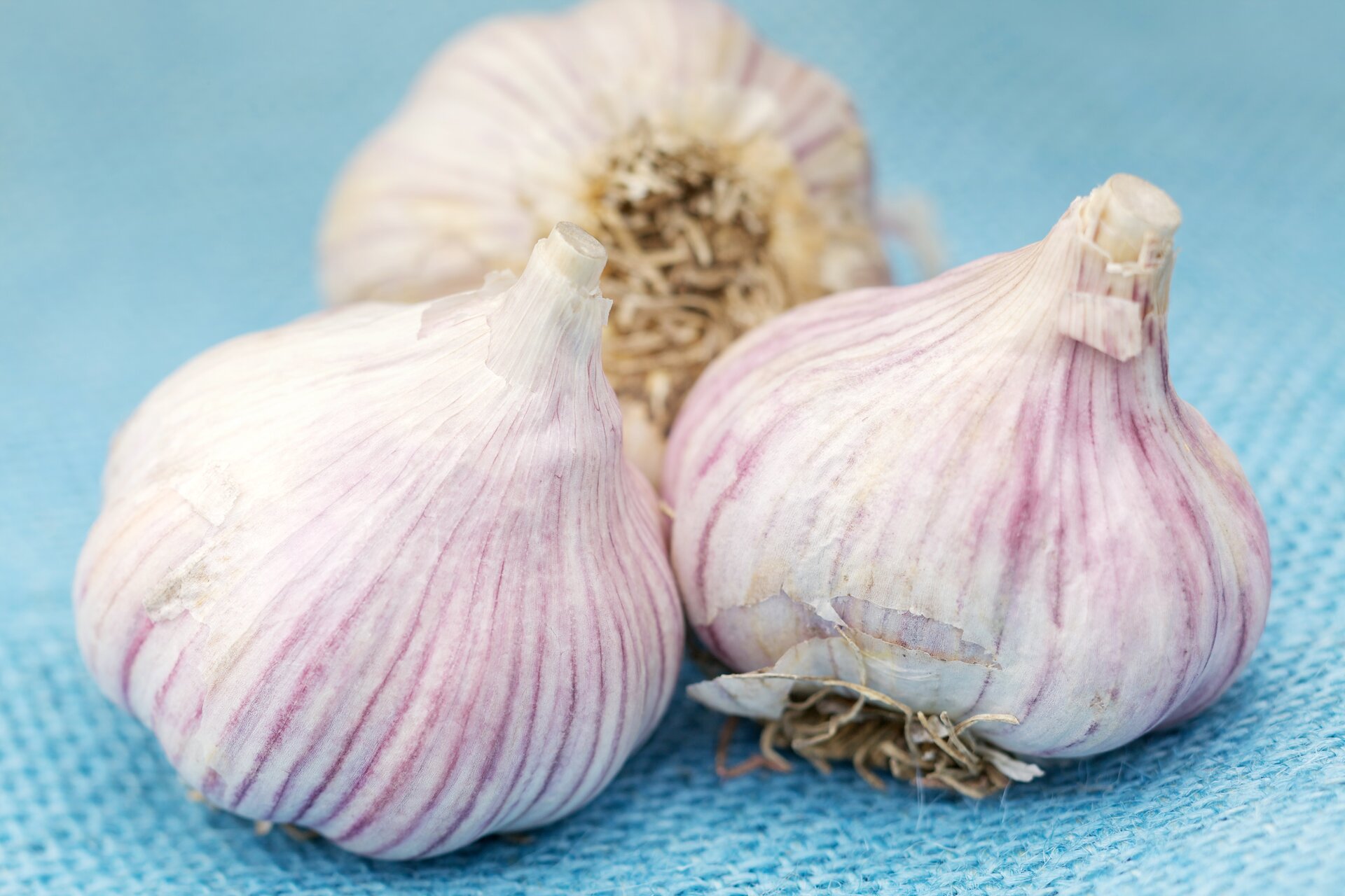 Aglio 5 Ricette Che Te Lo Faranno Amare Agrodolce