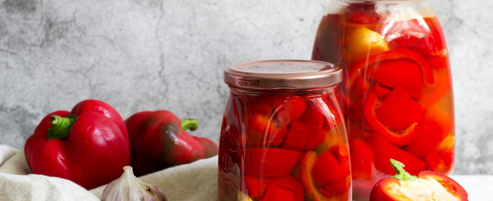 Iper Peperoni a Filetti in Aceto di Vino Sottaceto 350 g Iper