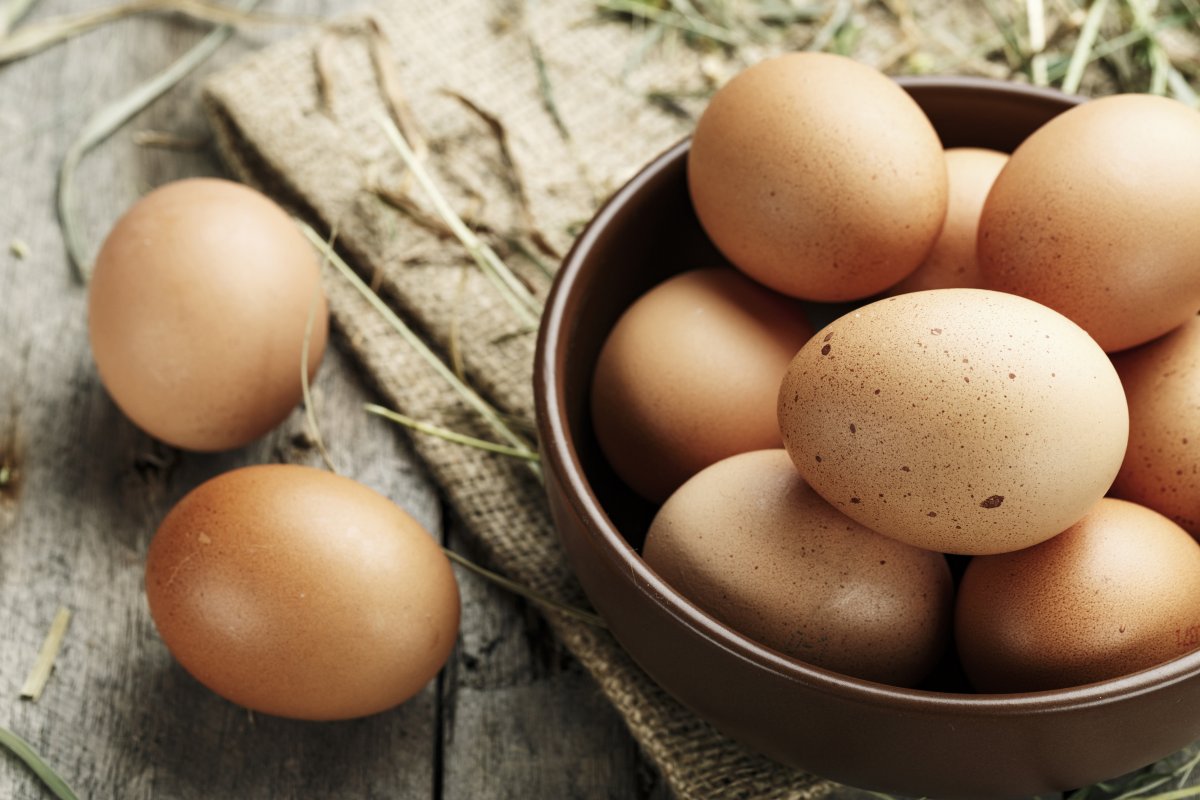 Uova fresche