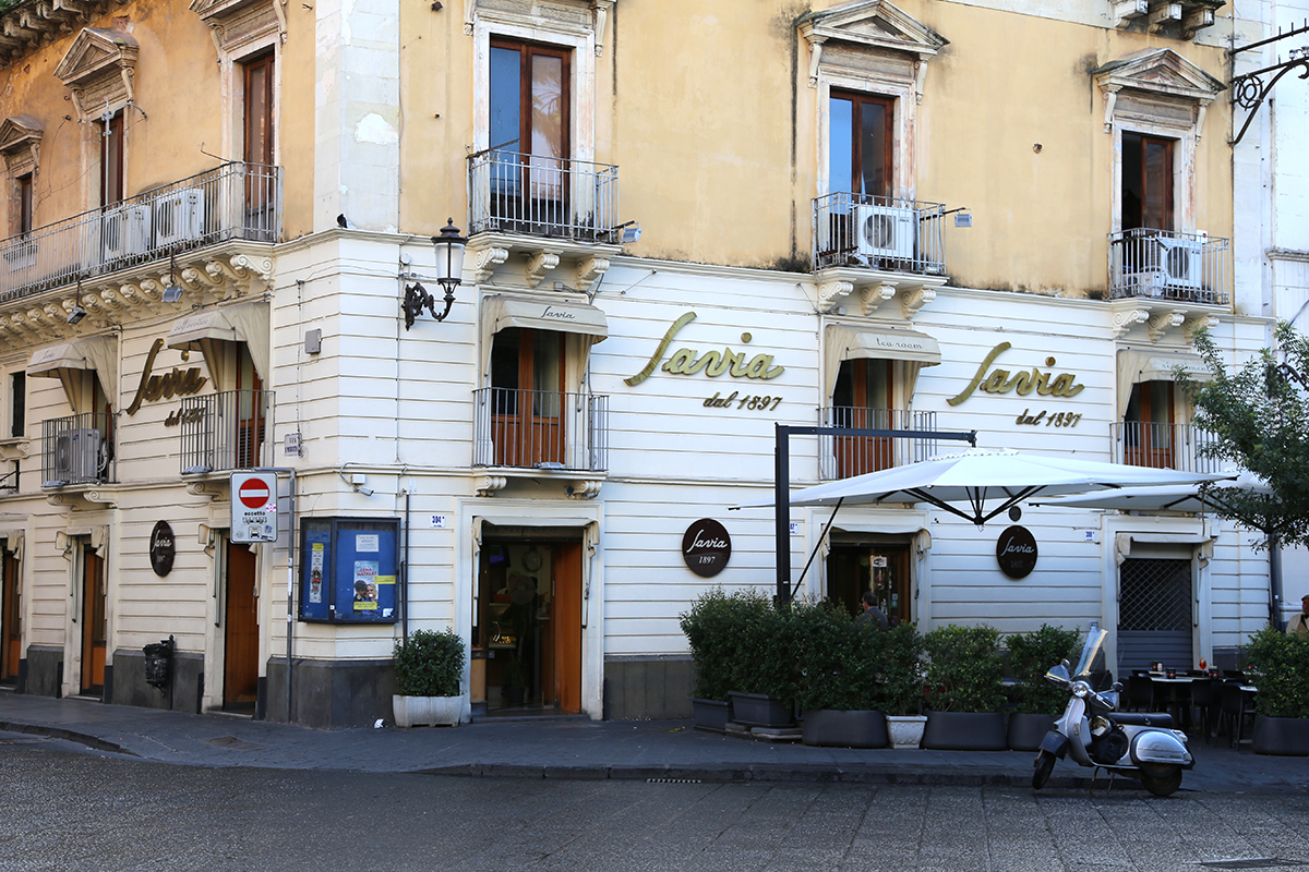 Savia catania