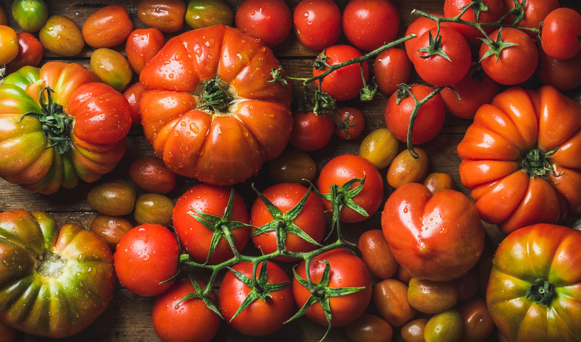 Pomodori